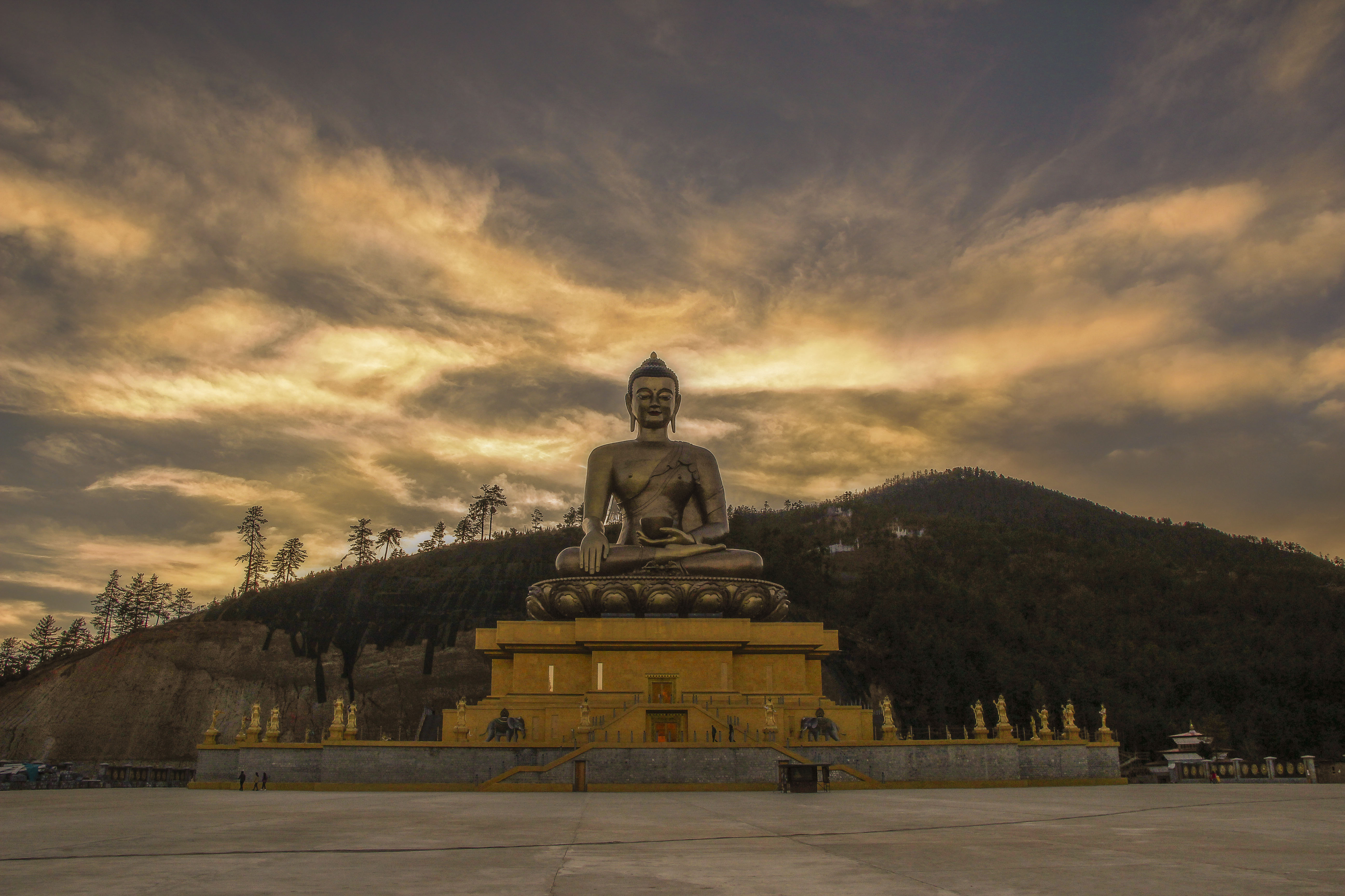 The Mindful Explorer